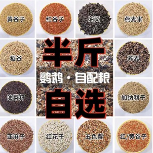 鹦鹉鸟粮玄凤牡丹虎皮鸟食谷子瓜子亚麻子黍子加纳利子混合粮半斤