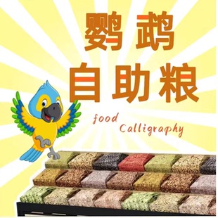鹦鹉鸟粮玄凤牡丹虎皮鸟粮鸟食谷子瓜子亚麻子黍子加纳利子混合粮