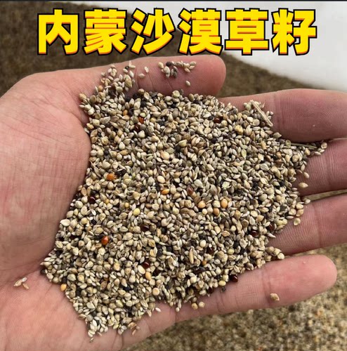 虎皮鸟食野生草籽芙蓉鸟鹦鹉