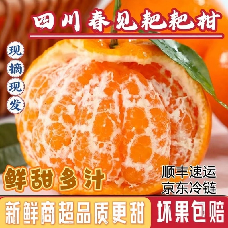 春见耙耙柑四川纯甜新鲜现摘孕妇水果10斤粑粑丑桔子爆汁特级顺丰