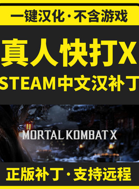 真人快打X10/Mortal Kombat X 中文汉化补丁 支持steam/不含游戏