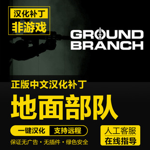地面部队/GROUND BRANCH 中文汉化补丁 支持steam 不含游戏