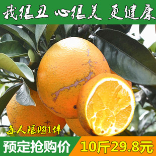 正宗赣南脐橙现摘丑橙子江西安远信丰寻乌榨汁橙花皮果10斤包邮