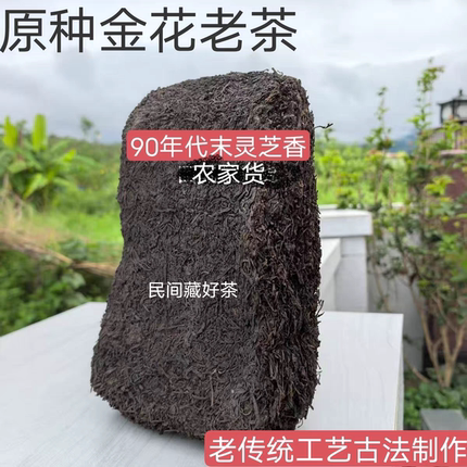 黑茶老六堡老传统工艺古法制作90年代末灵芝香浓浓灵芝香味农家货