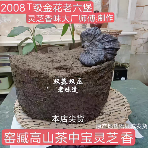 老六堡2008年灵芝香金花六堡茶特品级料三只鸟退休老师傅制作②批