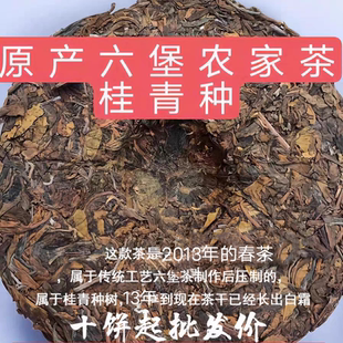 广西梧州六堡茶农家茶生茶2013桂青种茶饼350克一饼好喝送礼佳品