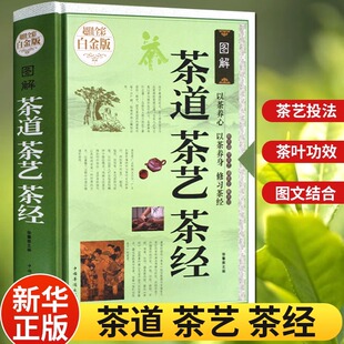 茶书籍茶文化入门 保健食疗茶礼仪 茶 饮茶方法器具茶膳茶食茶肴茶 识茶泡茶品茶茶文化茶叶种类茶艺 种类品种 茶道茶艺茶经