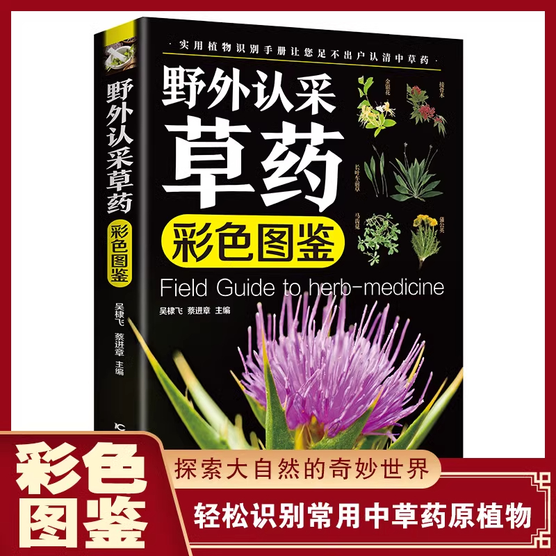 野外认采草药彩色图鉴实用植物识别手册200多种野外常见中草药鉴别与应用中华汉方快速认药图谱书精编中草药学草药材识别入门书df