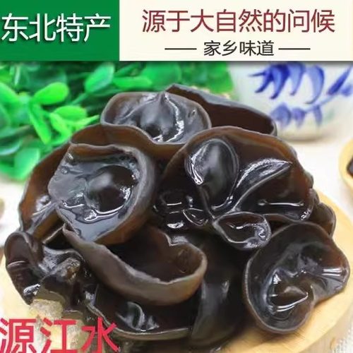 大兴安岭东北野生1斤肉厚无根