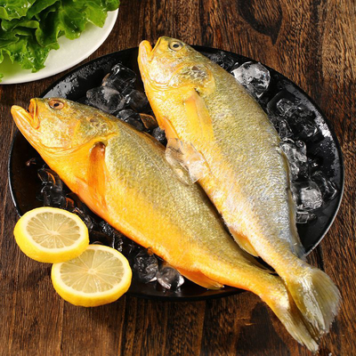 【野生海捕】正宗新鲜冷冻小黄花鱼生鲜水产海鲜小黄鱼码头直发
