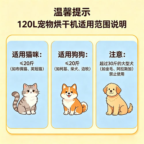 宠物烘干箱猫咪狗狗全自