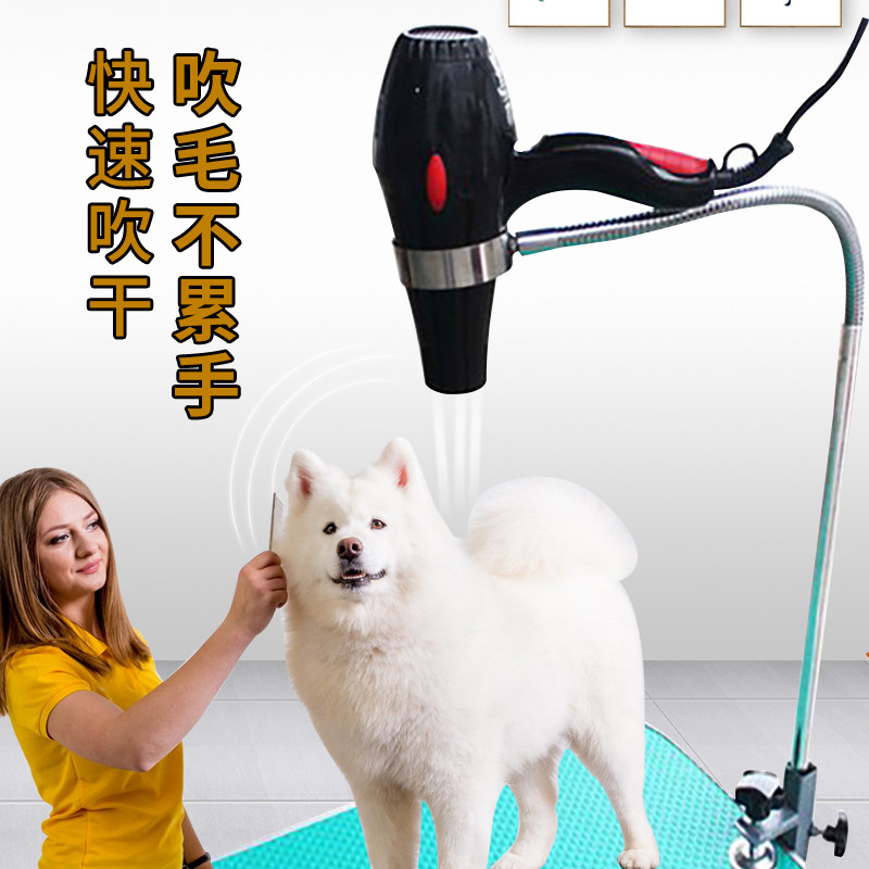 宠物吹风机支架家用美容桌电吹风狗狗猫咪吹毛剪毛洗澡固定美容台