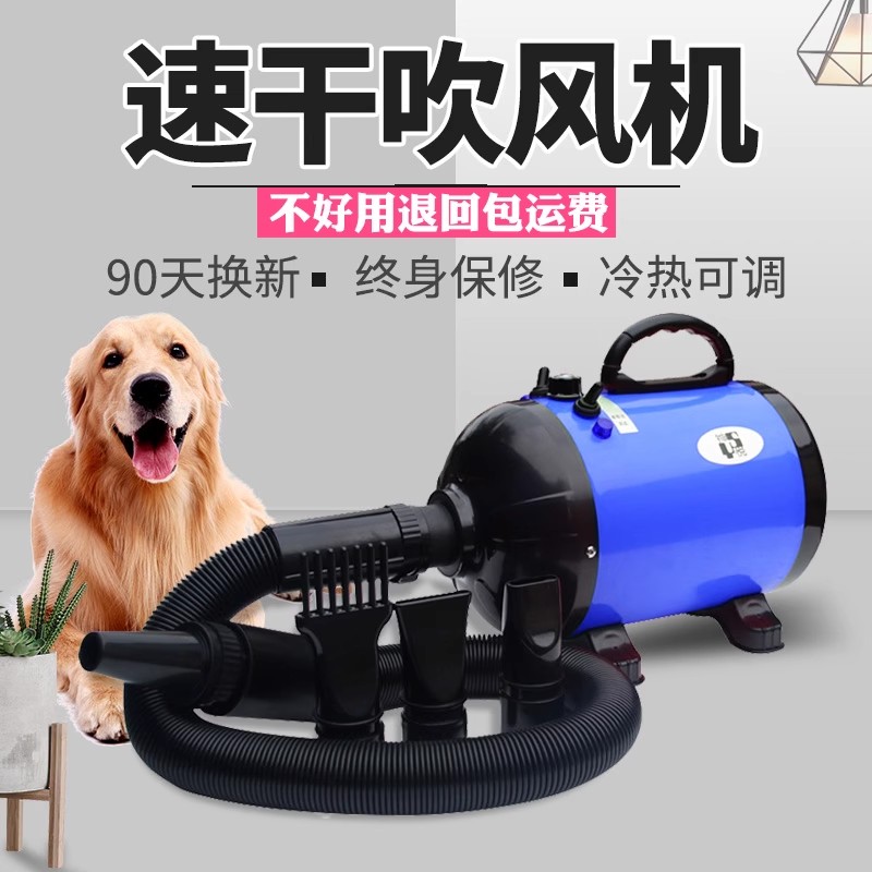 宠物吹风机小中大型犬速干大功率家用猫咪狗狗烘干机吹毛吹水机-封面