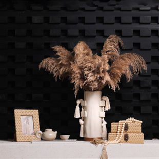 奶油侘寂风陶瓷流苏花瓶芦苇干花花器复古编织收纳盒相框摆件组合