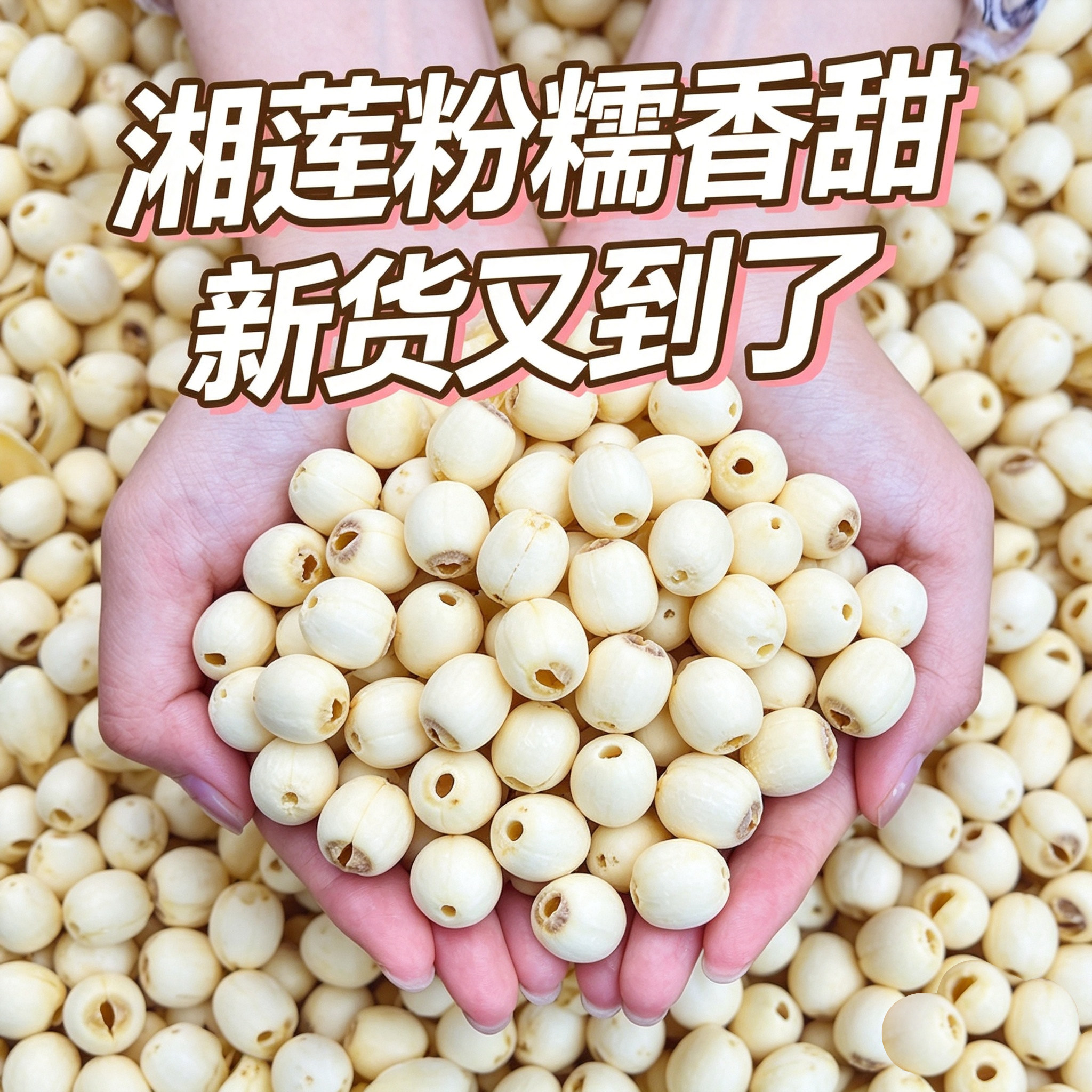 正宗湘潭白莲子去芯磨皮干货