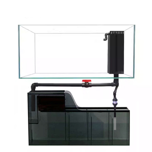 超白玻璃鱼缸黑玻直角溢流底滤干湿分离龙鱼客厅大中小型定制定做