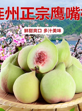 连州富硒鹰嘴桃桃子现摘果园新鲜水果特产当季脆甜一级大果农家桃