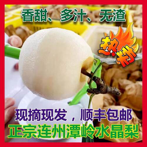 正宗水晶梨连州特产当天现摘新鲜脆冠脆甜爽口水果顺丰包邮翠冠梨