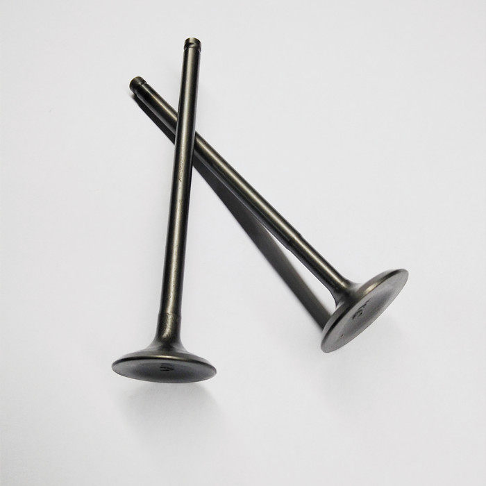 原装gs125铃木王qs125-3abcdefghl骏威gsx125-3进排气门 气门顶杆