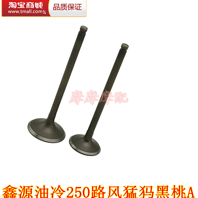 油冷XY250-2-7鑫源VJ250猛犸路风地平线街跑232黑桃A摩托车气门杆|ruв категории мотоцикл/оборудование/аксессуары, аксессуары мотоцикла, клапан/клапан в сборе - от Buy2taobao.com для оказания профессиональной услуги покупки агента Taobao