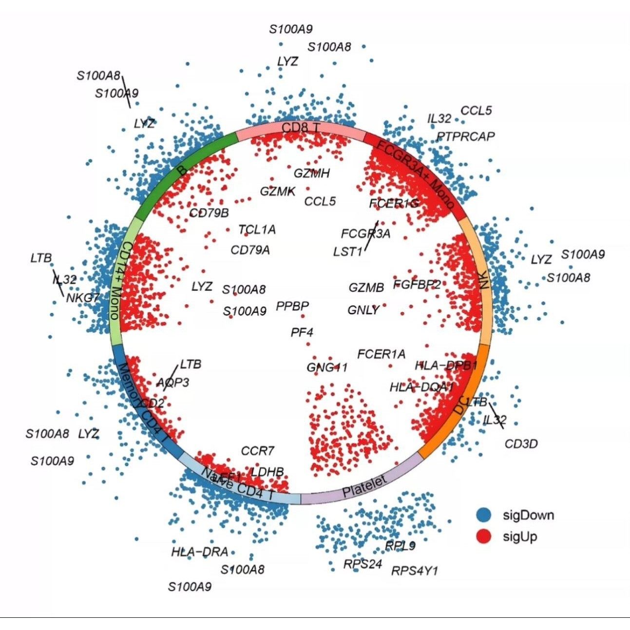 生信分析数据TCGA GEO分析生信答疑服务作图单细胞测序辅导咨询