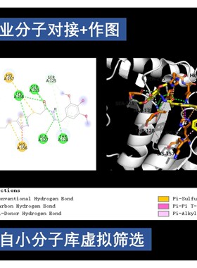 分子对接 物虚拟筛选Pymol作图autodock vina DS金属酶柔性对接