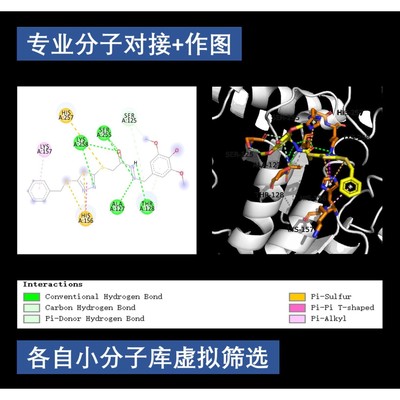 分子对接 物虚拟筛选Pymol作图autodock vina DS金属酶柔性对接