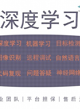 python深度学习机器学习编写和指导matlab编写图像处理复现