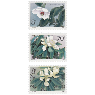 昊藏天下1986年 T111 濒危木兰科植物 邮票 套票