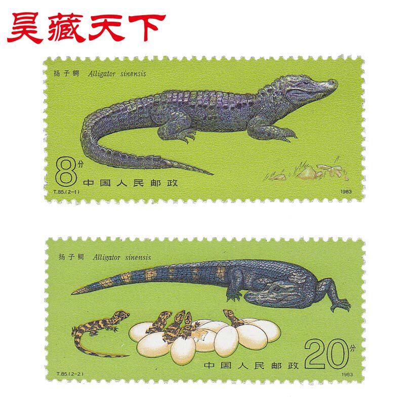 1983年T85 扬子鳄邮票套票F