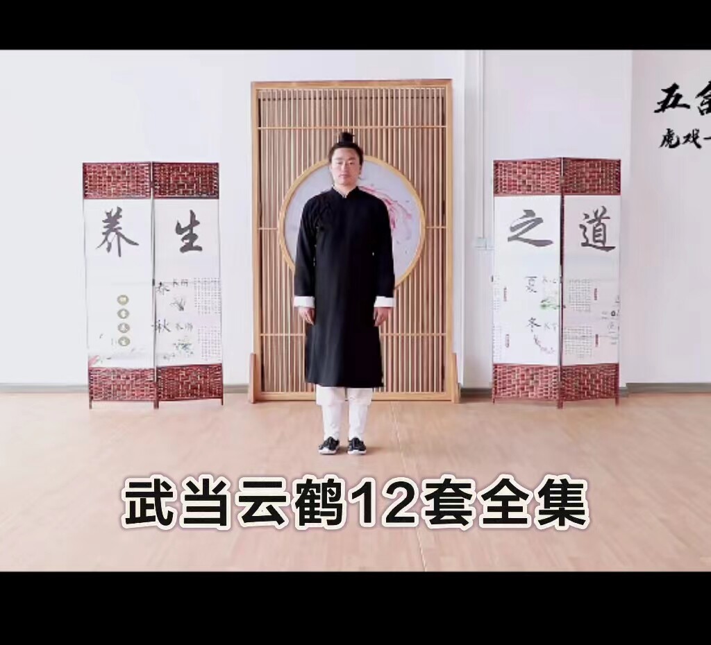 武当云鹤36式太极丹剑太极拳混元桩太极扇八段锦松身太乙逍遥掌