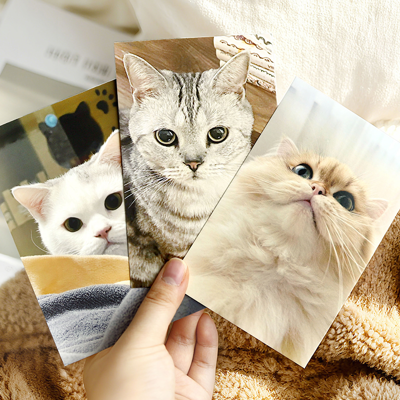 但是还有文字系列明信片30张卡片