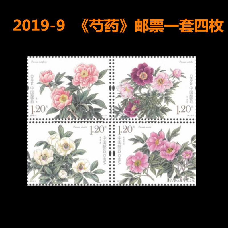 中国邮政 2019-9 芍药 花卉邮票可邮寄收藏使用1套4枚面值1.2元信件明信片