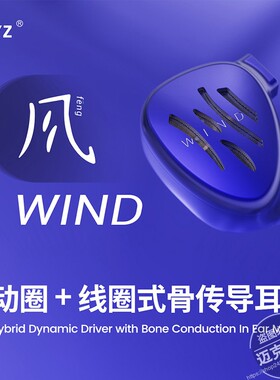 BQEYZ气象系列Wind风 动圈线圈骨传导耳机有线HIFI入耳式耳塞耳机