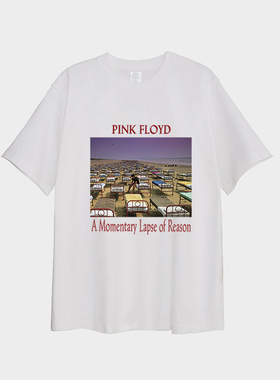 pink floyd A Momentary Lapse of Reason 平克弗洛伊德 印花T恤