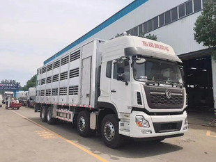 新中绿东风33吨猪苗车 畜禽饲养场 散装粮食运输车电动卸料饲料车