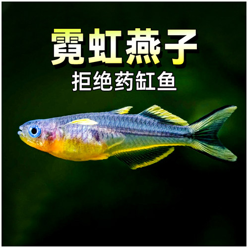 广东发货全国包邮24小时包活