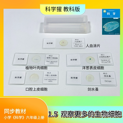 科学猩小学科学实验材料同步教材