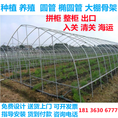 大棚骨架养殖种植连体厂家直销