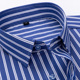 长袖 衬衫 春秋新款 高级设计感蓝色男士 竖条纹休闲衬衣免烫商务男装