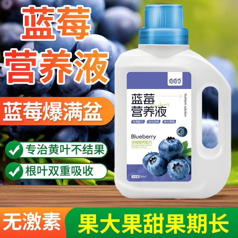 蓝莓专用营养液浆果蓝莓树种植专用营养肥家庭用催化催果营养液体