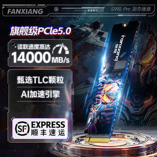 梵想S910Pro PCIe5.0固态硬盘M.2读速14000MB s独立缓存