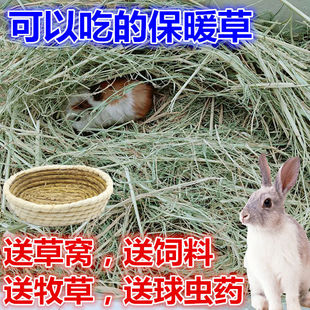 兔草荷兰猪保暖草垫窝草垫料牧草干草豚鼠垫草冬天暖窝可食用干草