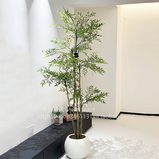 南天竹盆栽客厅真树室内绿植大型植物树苗办公室火焰老桩落地造景