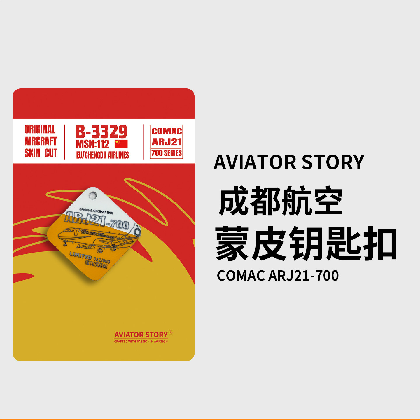 成都航空ARJ21国产飞机蒙皮挂件