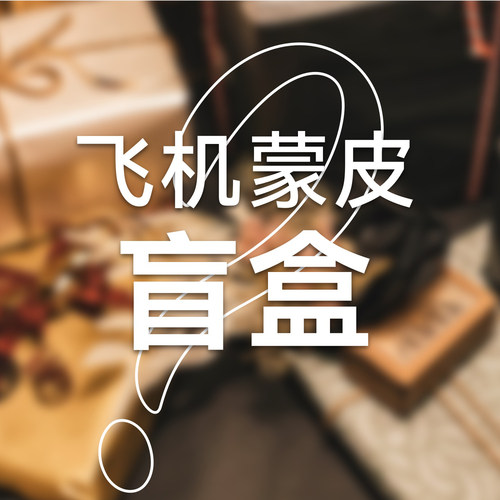情人节礼物飞机蒙皮纪念品