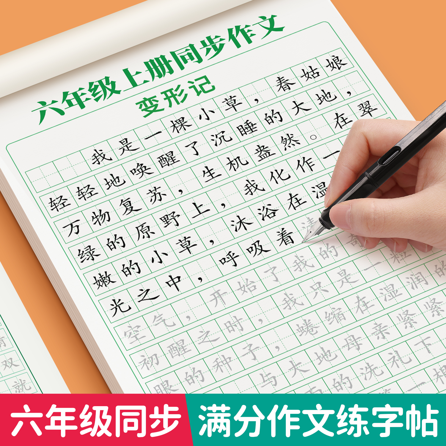 六年级上下册满分作文同步练字帖