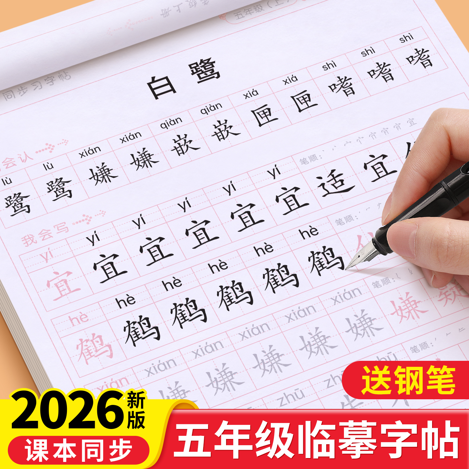 五年级上册下册同步字帖人教版