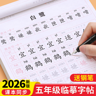 五年级语文字帖上册下册钢笔练字帖人教版 英语课本同步生字初学5楷书小学生硬笔书法临摹练字本每日一练笔画笔顺正楷写字贴初学者