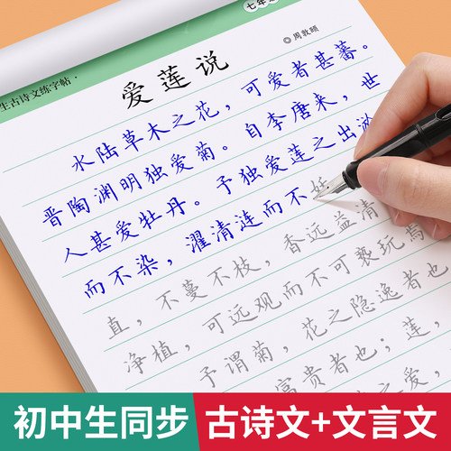 教材同步古诗文文言文专用字帖